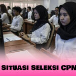 Begini Situasi Seleksi CPNS 2024